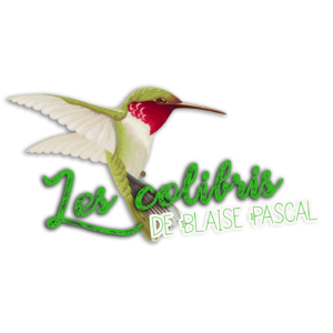 Logo du projet "les colibris" associé au développement durable.